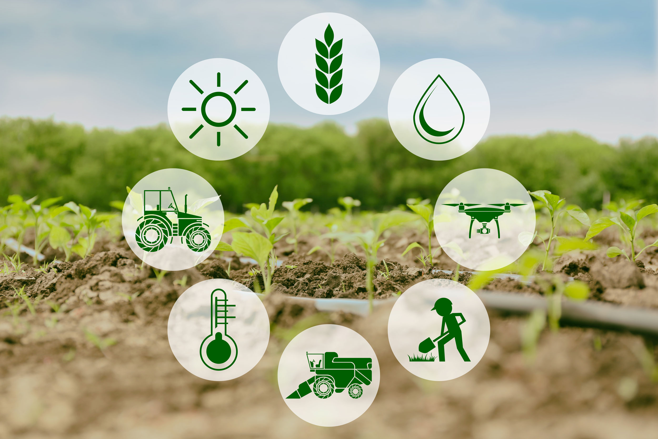 Smart Farming Agriculture 4 0 Part I Gruber Genetti Blog